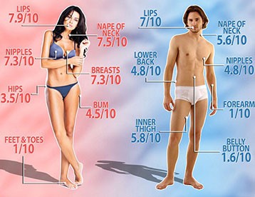 Le classement des zones érogènes selon l'étude des neuroscientifiques.