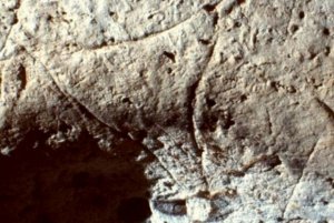 Un phallus et une vulve: deux des gravures de la grotte de Fronsac, à Vieux-Mareuil (France). 