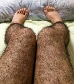 Même poilues, des belles jambes restent attirantes.